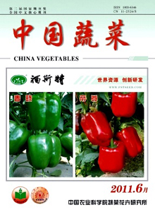 中國(guó)蔬菜雜志
