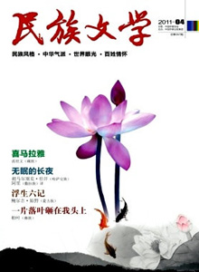 民族文學(xué)雜志