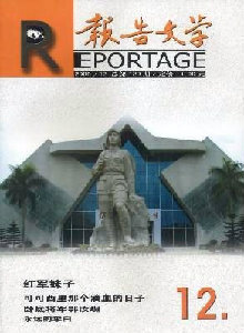 報(bào)告文學(xué)雜志