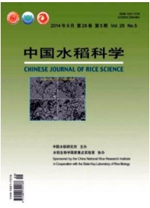中國水稻科學