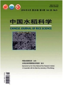 中國(guó)水稻科學(xué)