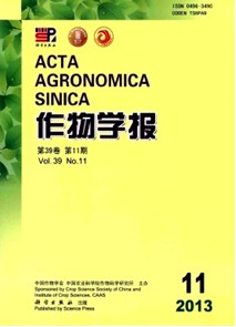灌溉定額和施氮量對機采棉田水分運移及硝態(tài)氮殘留的影響