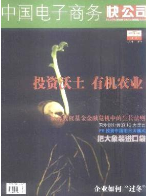 電子商務(wù)論文