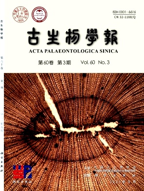 基于兩級分段式算法的卷積神經(jīng)網(wǎng)絡(luò)的浮游有孔蟲自動鑒定
