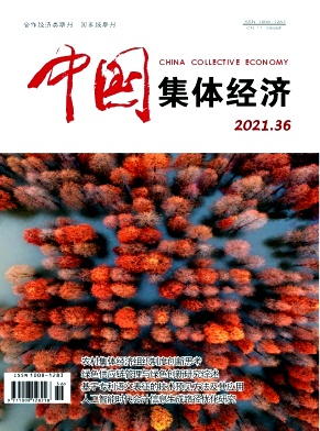 農(nóng)村集體經(jīng)濟(jì)發(fā)展面臨的困境分析及對策研究