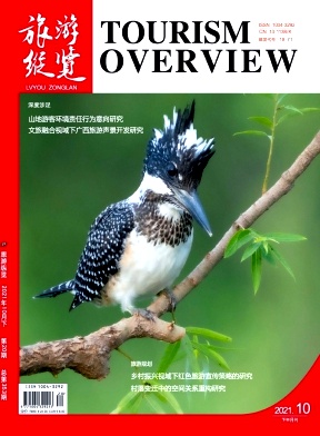 研究地方文化和旅游發(fā)展的論文文獻