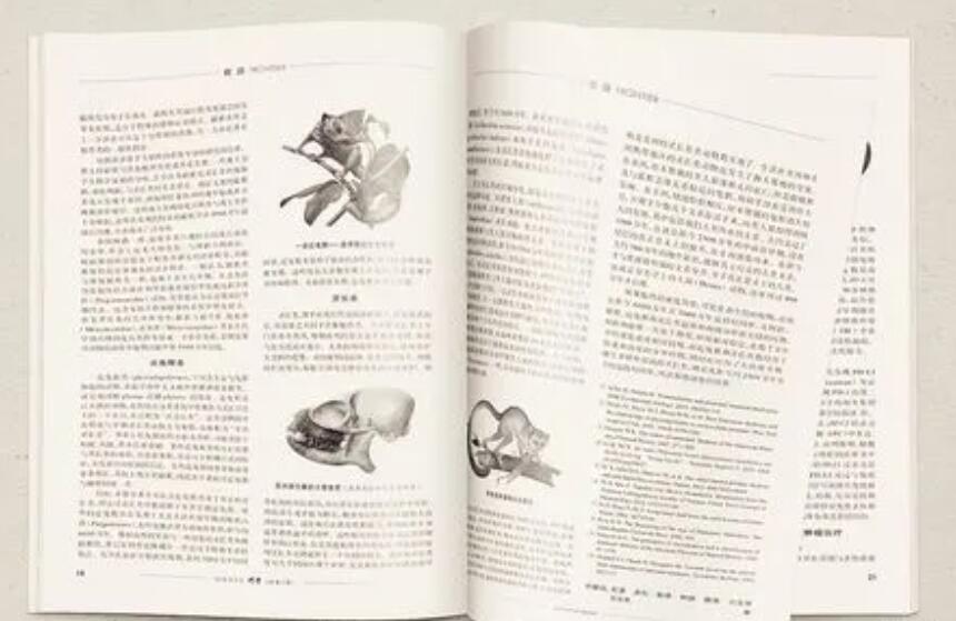 網絡規劃設計論文