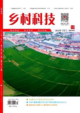 鄉村科技