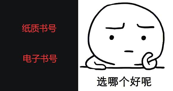 出書選電子書號還是紙質(zhì)書號