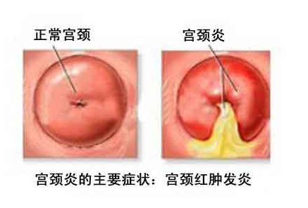 醫(yī)學(xué)論文刊發(fā)