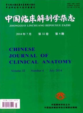 中國臨床解剖學(xué)雜志