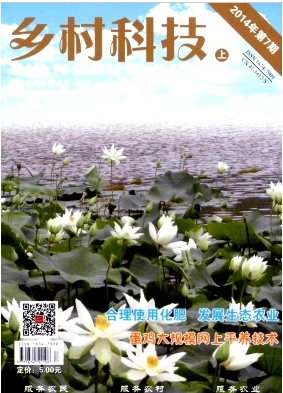 鄉(xiāng)村科技