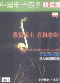 中國電子商務(wù)