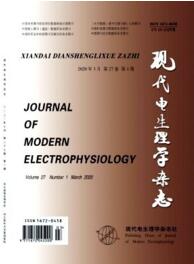 現(xiàn)代電生理學