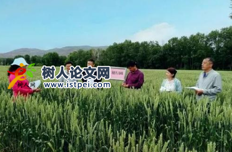 環(huán)境工程課題有哪些選題