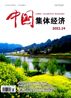 中國集體經濟雜志國家級