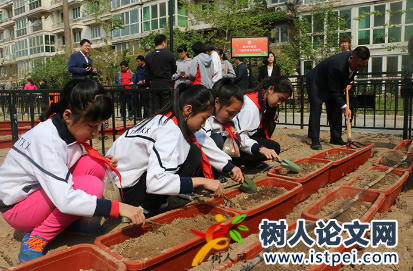 實踐教育類論文寫什么內容