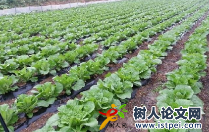 蔬菜種苗培育類教材能評農(nóng)業(yè)系列職稱嗎