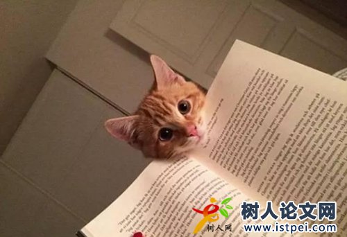 露天采礦技術(shù)適合評(píng)什么級(jí)別職稱(chēng)